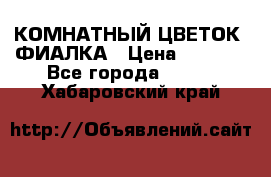 КОМНАТНЫЙ ЦВЕТОК -ФИАЛКА › Цена ­ 1 500 - Все города  »    . Хабаровский край